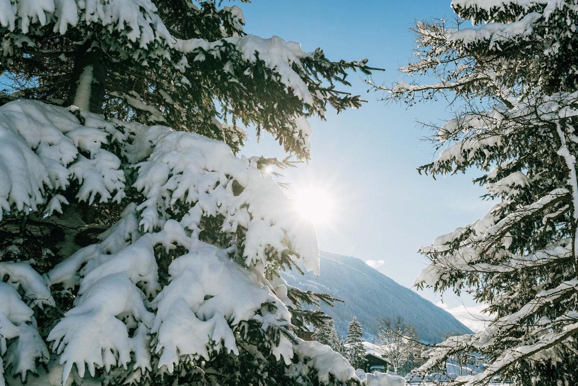 Hotel Burgstall Neustift im Stubaital Esterno foto